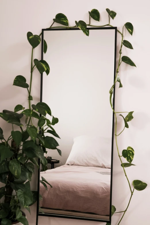 the black framed mirror is next to a large potted plant