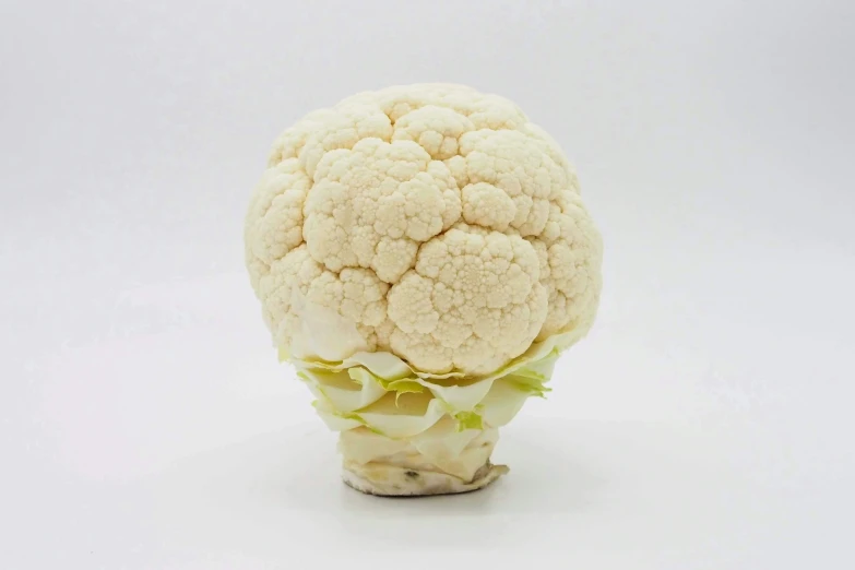 a large white cauliflower head on top of a white table