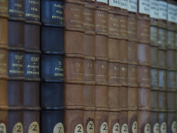 the rows of brown and black books lined up side by side