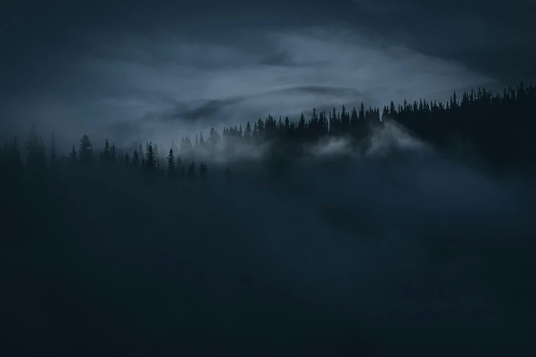a misty dark blue forest with fog in the air