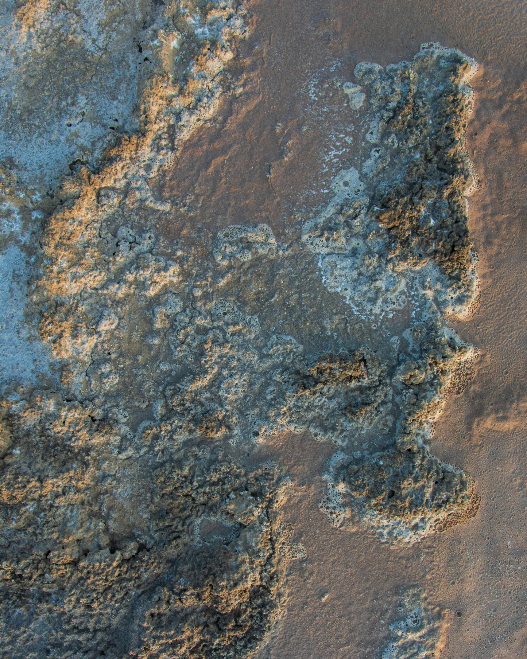 a rock formation with some vegetation growing on it