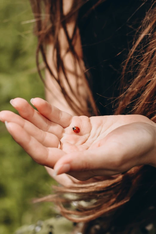 a woman's hand holds a tiny red bug, sitting on top of her palm