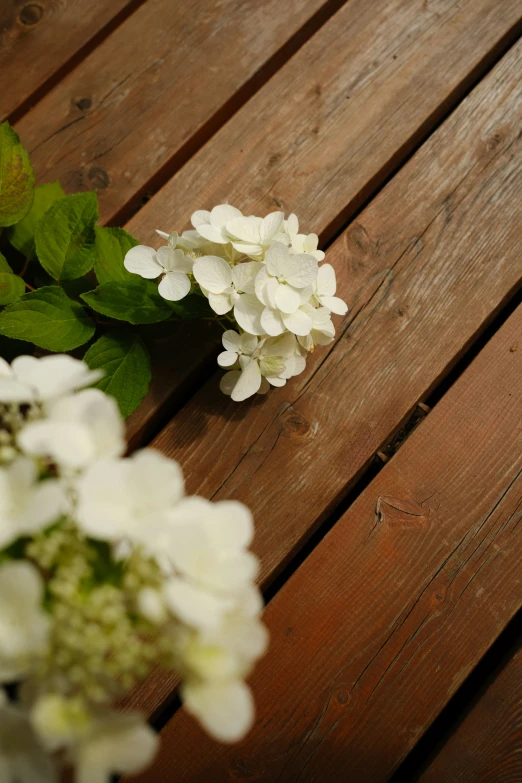 white flowers are sitting on an old wood bench