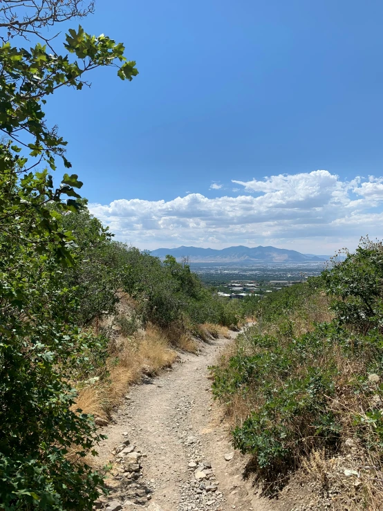 a trail running through the grass to some hills