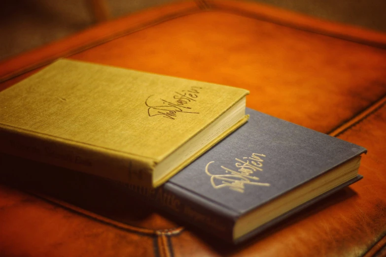 two books sitting on top of an orange leather chair