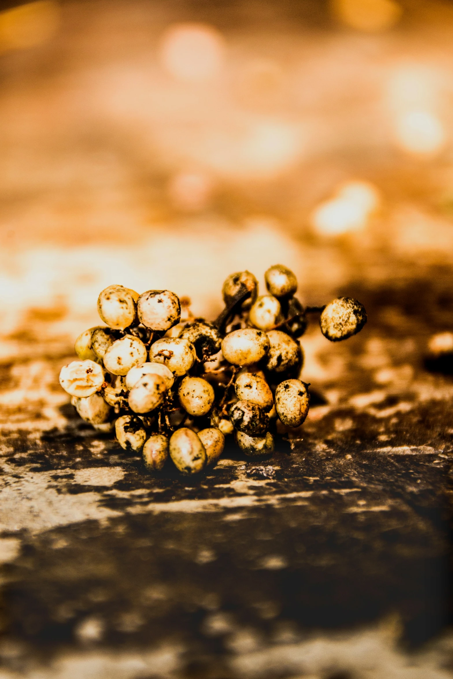 a cluster of golden beads lying on the ground