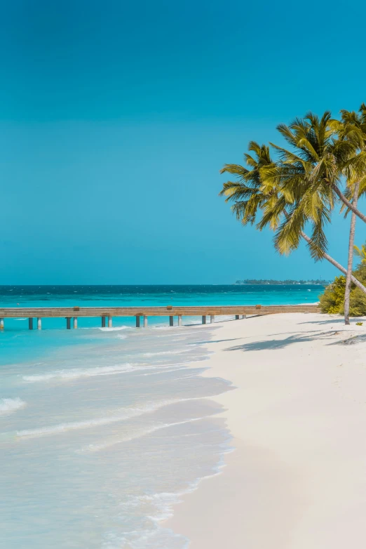 two palm trees are over the water of a white beach