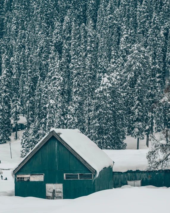 a couple of wooden shack sitting in the middle of a forest