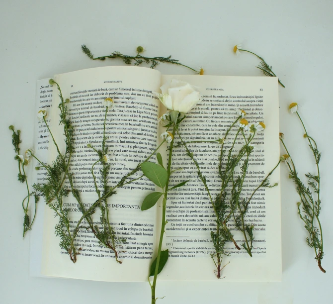a book is open with flowers sitting on it
