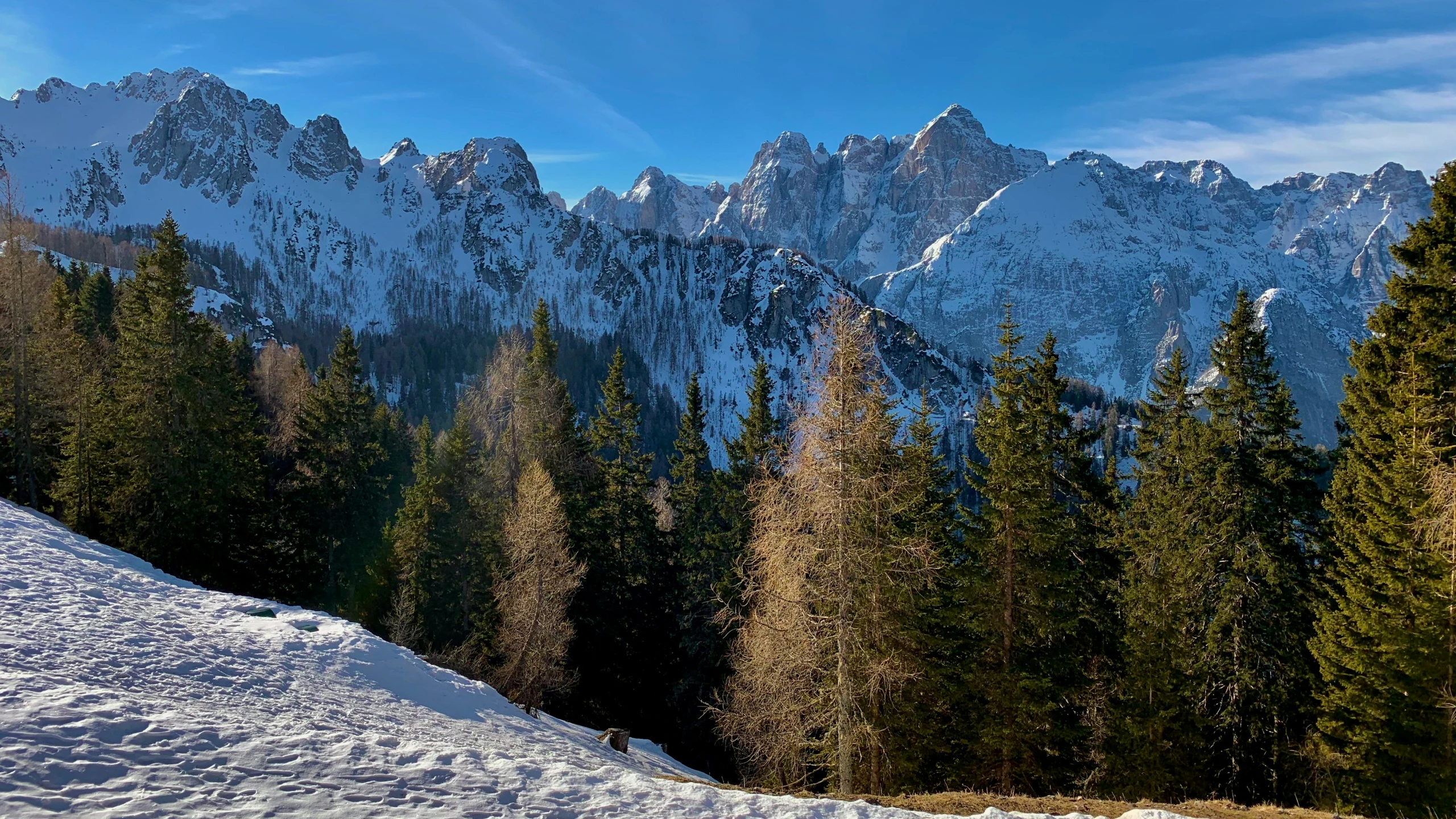 the ski slope in the mountains with many pine trees