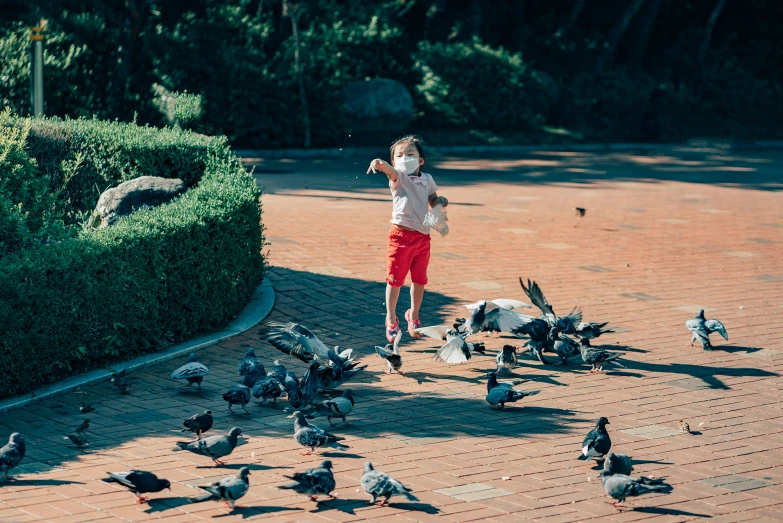 a young child standing on a brick surface with pigeons surrounding him