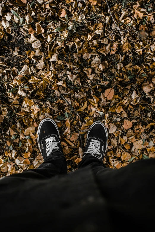 the top view of a man's feet on leaves