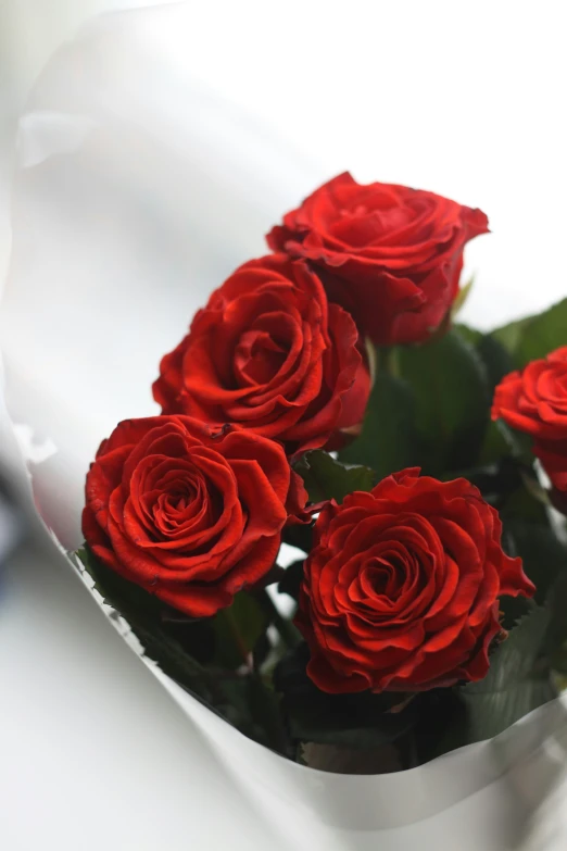 several red roses sitting in a vase with water