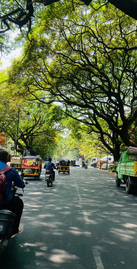 the scooters are going down the tree lined road