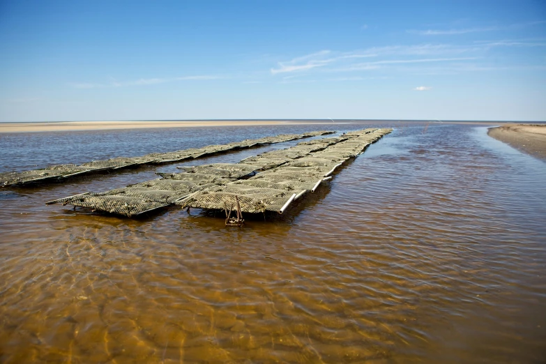 two long pieces of wood laying in shallow water