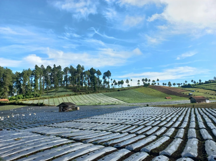 a group of logs sitting in the middle of a field