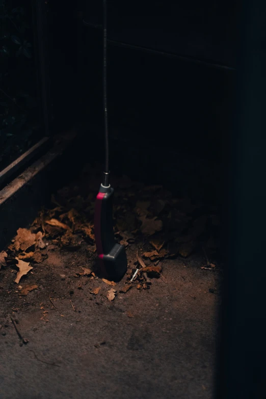 a bat sitting on the ground at night