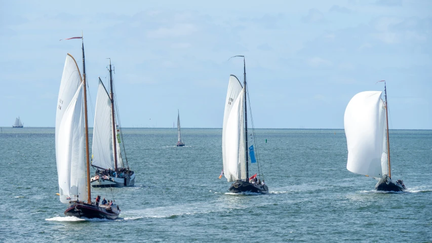 several sailboats are in the middle of the ocean