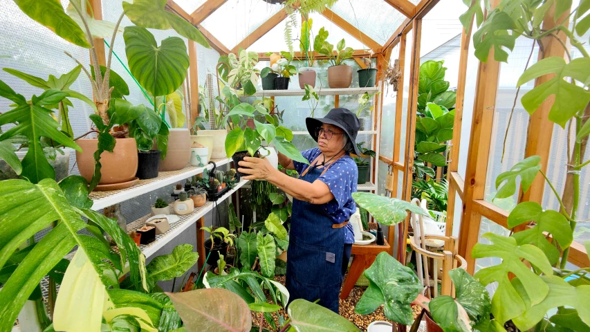 a woman gardener tending to potted plants