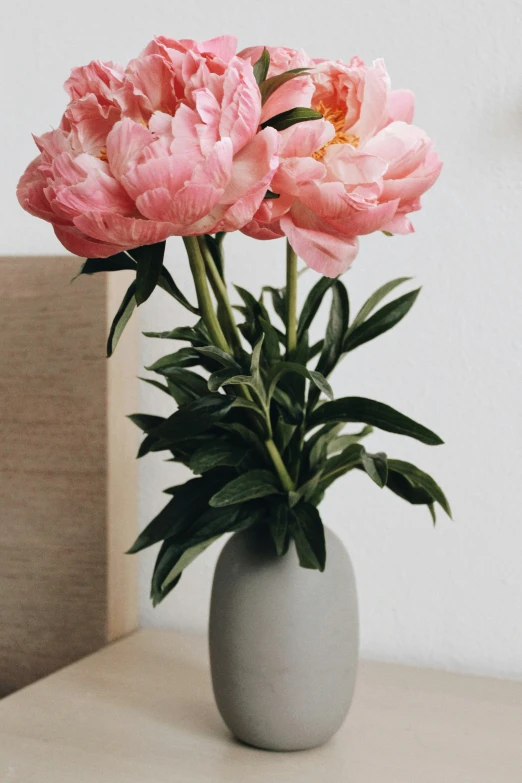 three pink flowers in a light gray vase on a shelf