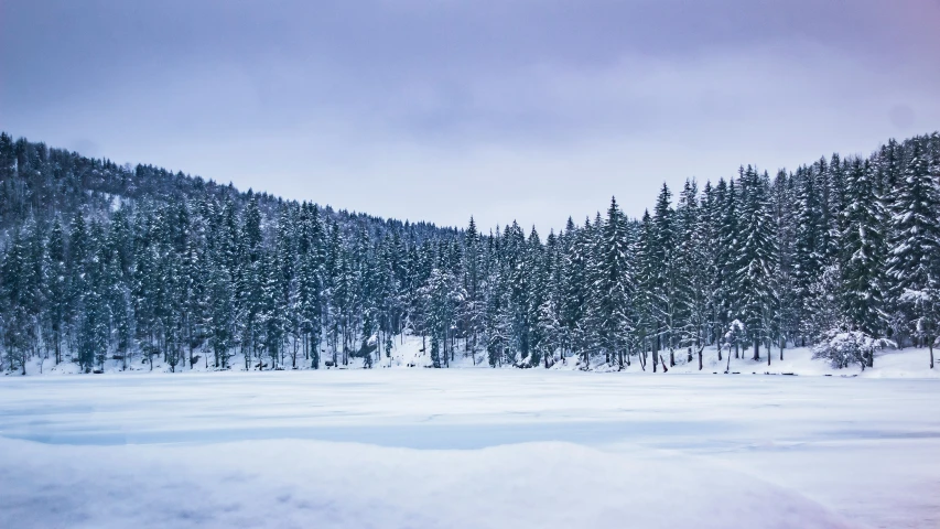 there is snow in the mountains and a forest