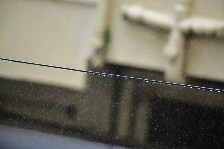 a yellow bird sitting on a wire in the rain