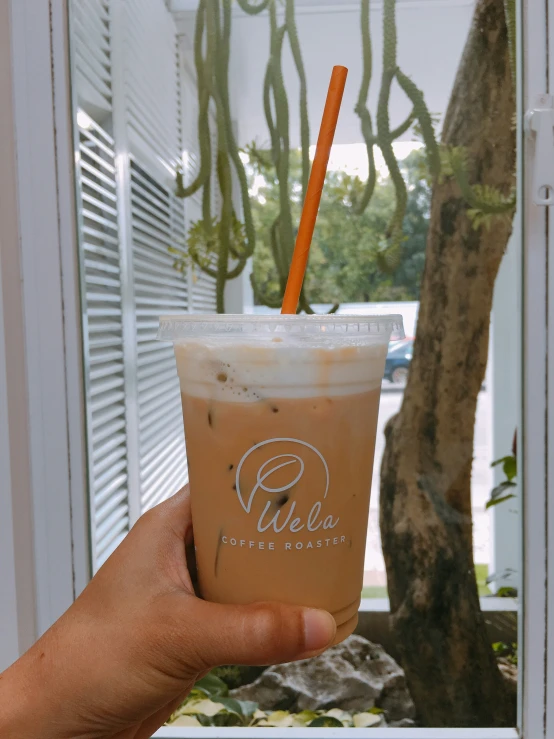 a hand holding a glass in front of an outside window