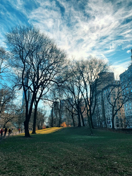 some people standing in the middle of a park