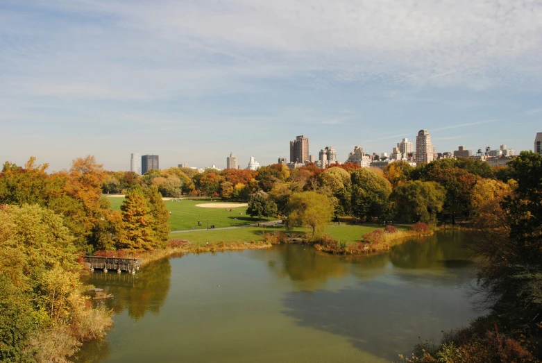 a lake and a city are in the background