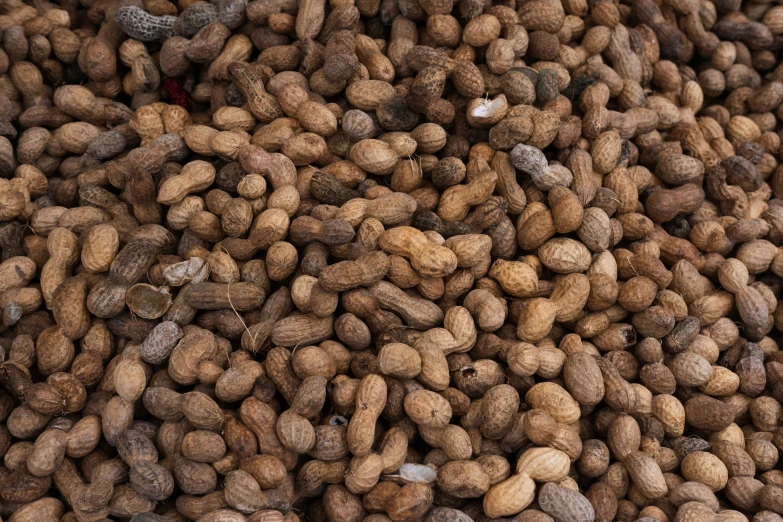 a pile of peanuts sitting next to each other