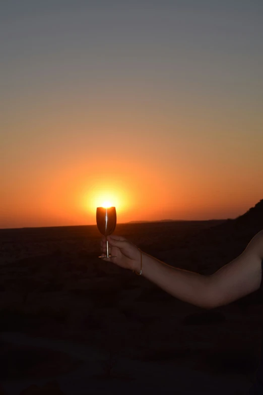 a person holding a wine glass in front of the sun