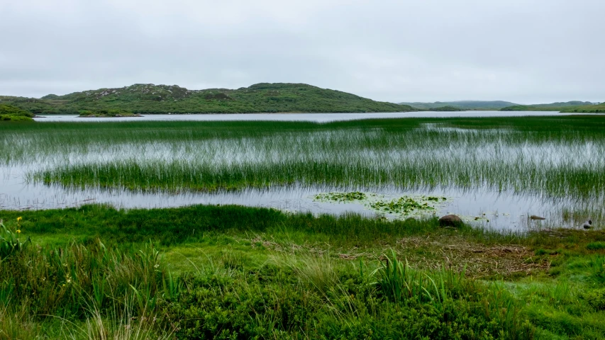 the view of a mountain lake from across a field