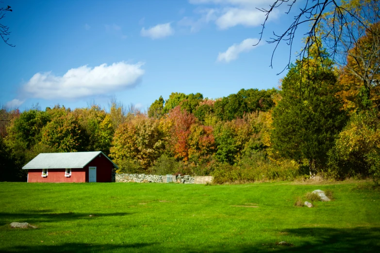 small red and blue house in the middle of a green field