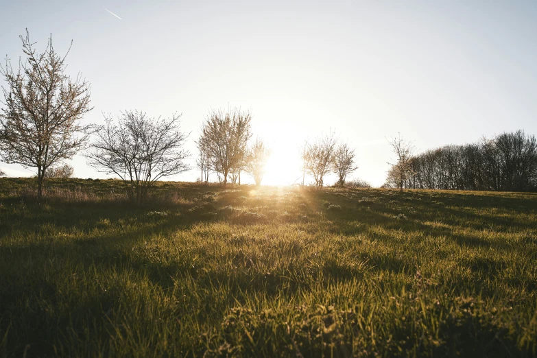 the sun is setting over a grassy area with trees