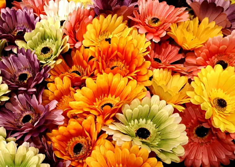 colorful assortment of daisies for sale in a market