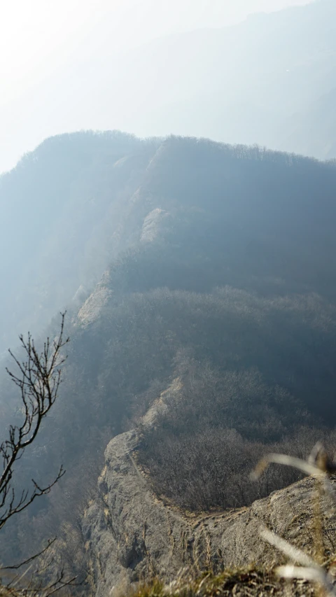 the bird is perched on the rocky hillside