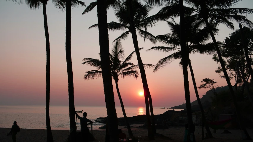 people walking in the sunset on a beach next to palm trees