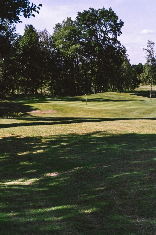 there is a green area with shadows on the grass