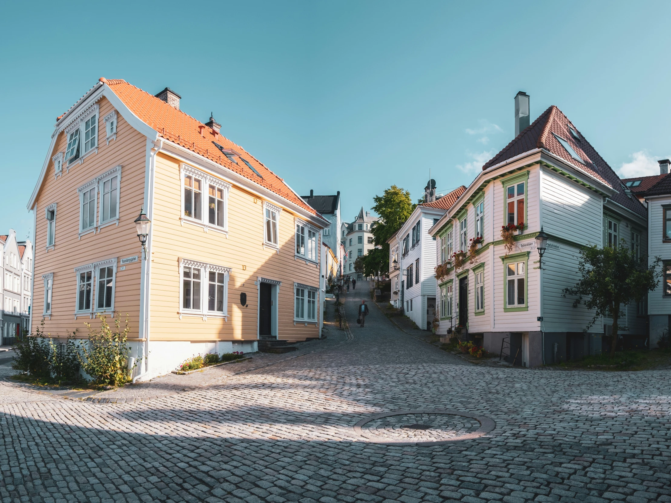 this street has a cobblestone driveway and some building