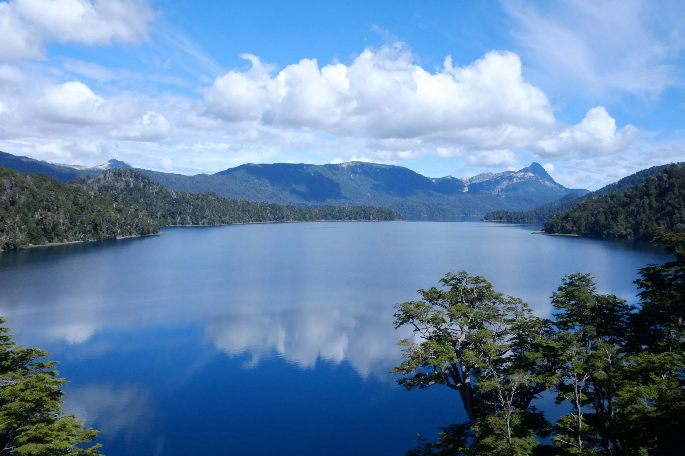 the view of trees are from near the water