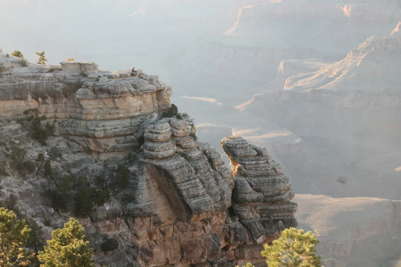 an image of the grand canyon with animals on it