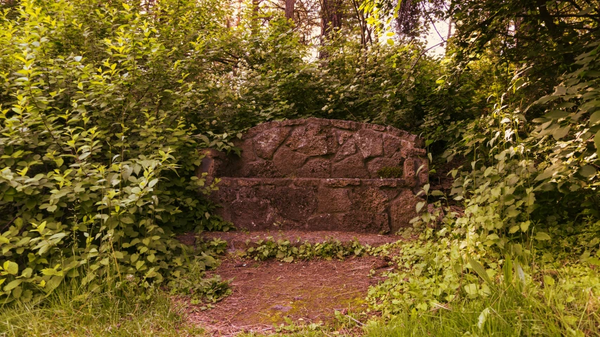 some very old ruins sit in the middle of trees