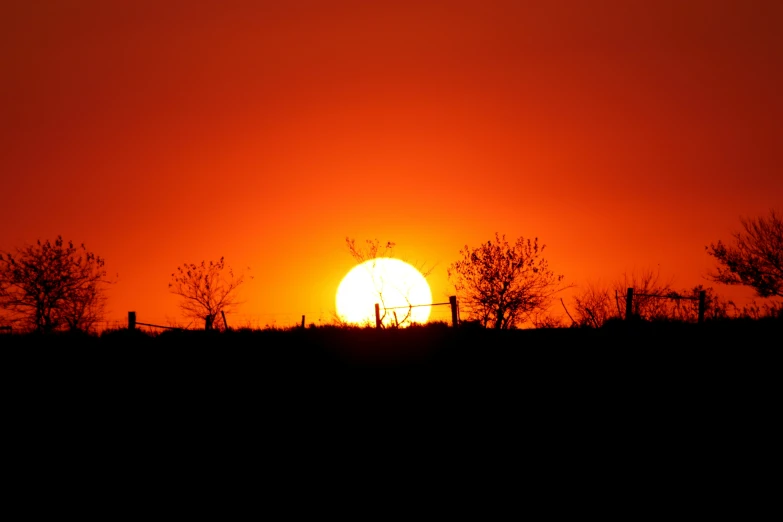 a sunset in the background with silhouette trees