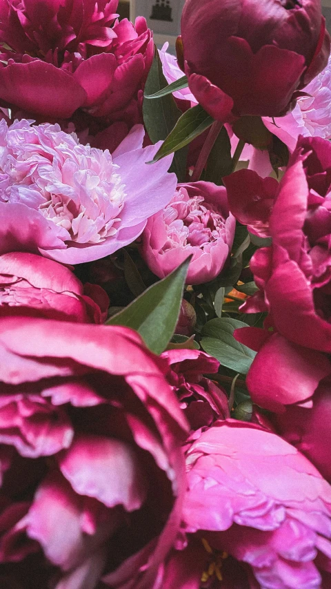 many flowers are gathered together in a vase