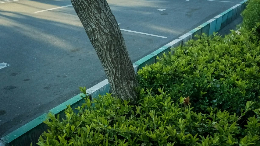 there is a bench at the end of a sidewalk