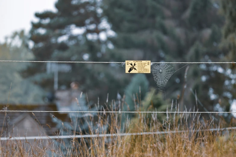 a sign is hanging on the electric wire