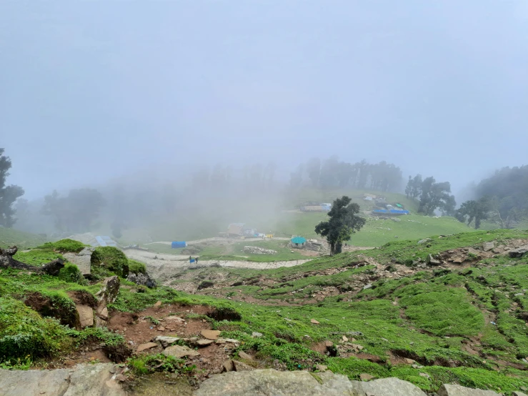 fog lifting off a forested hillside in the mist