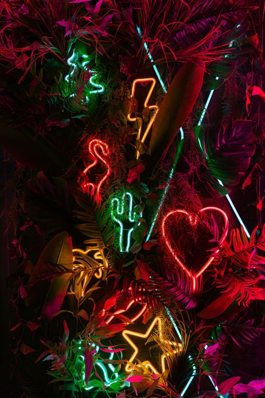 various neon lights are seen in this artistic pograph