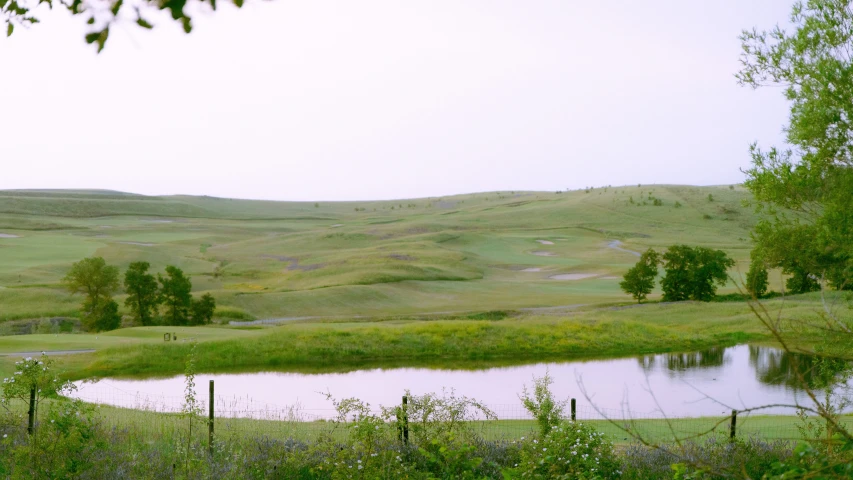 the horse is by the small pond in the field