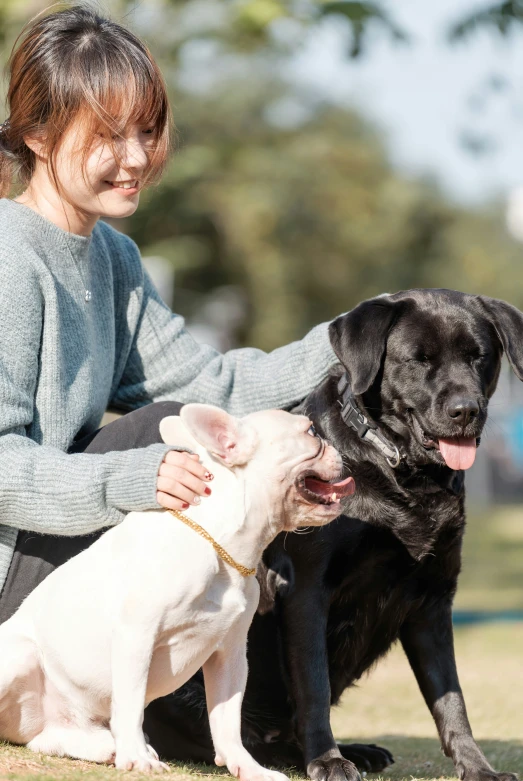 woman pets a large dog while sitting in the grass